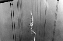 Το ακρον (ελληνικον) αωτον της πολιτικης υποτελειας