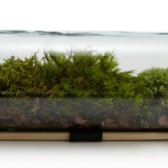 Η εμπορευματοποιηση των ποταμων και της βροχης μας μειωνει ολους – The Guardian