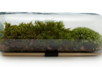 Η εμπορευματοποιηση των ποταμων και της βροχης μας μειωνει ολους – The Guardian