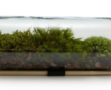 Η εμπορευματοποιηση των ποταμων και της βροχης μας μειωνει ολους – The Guardian